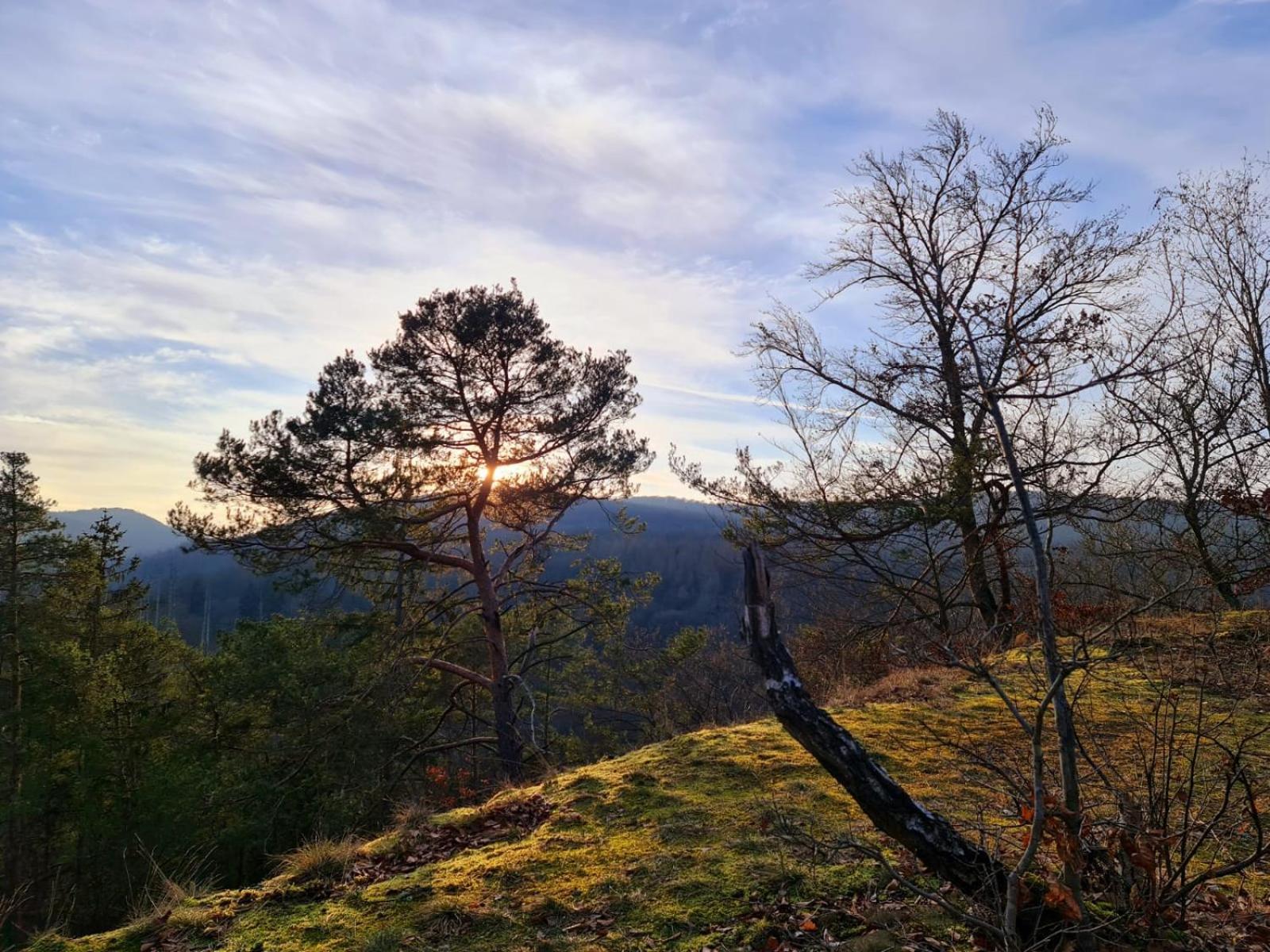 Ferienhaus Schoene Aussicht Ferienwohnung Rot Hemfurth-Edersee Esterno foto